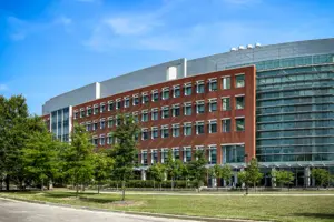 Brick Building Exterior on a Sunny Day